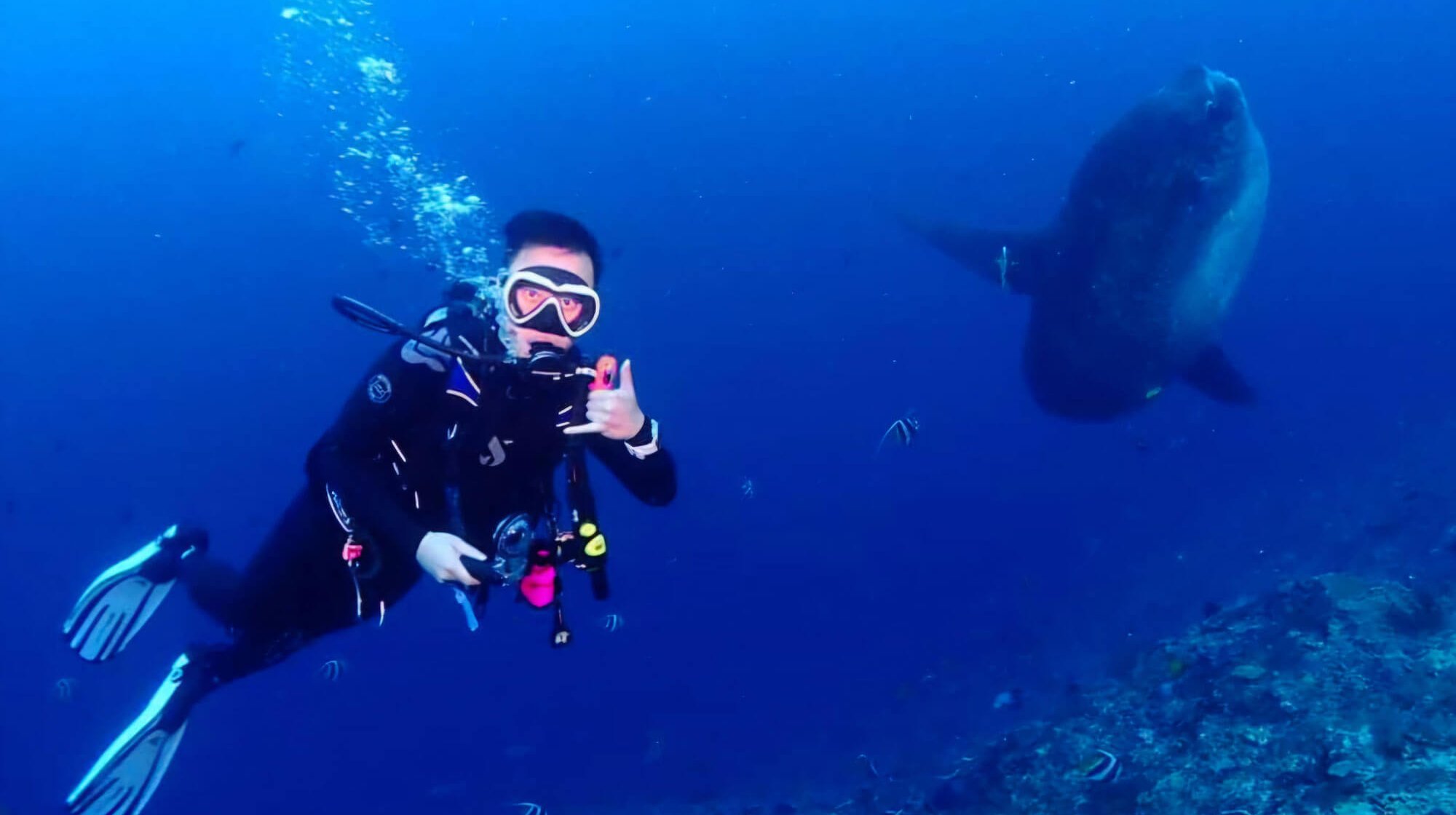 Night-Diving-and-Limited-Visibility-Cover