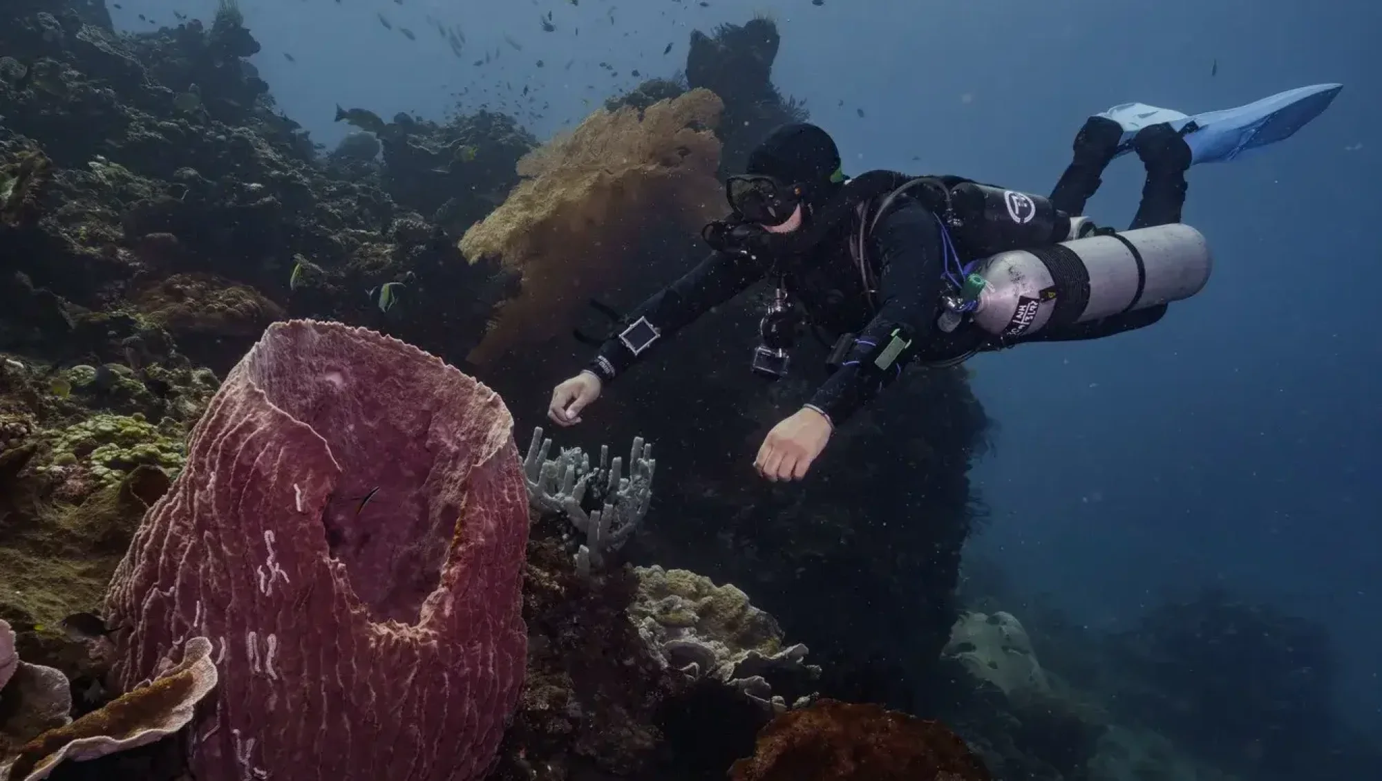 offgassingscubapodcast 1 (1)